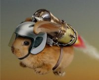 Bunnies Rocket กระต่ายแบ๊วตะลุยจักรวาล