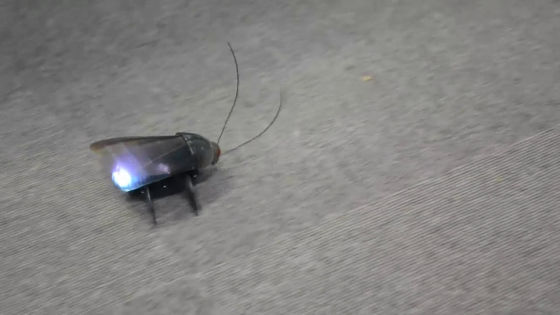 ได้เวลายึดบ้านของเราคืน ถึงเวลาระดมพล “เมก้าปีเตอร์”