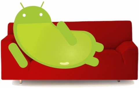 Nexus S เริ่มหม่ำ Jelly Bean