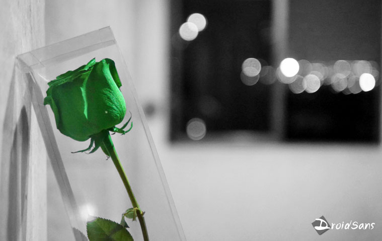 เมื่อกุหลาบเขียวจะมาทำให้วาเลนไทน์นี้เปลี่ยนไป เตรียมพบกับเซอร์ไพรส์เร็วๆ นี้ #LoveIsGreen