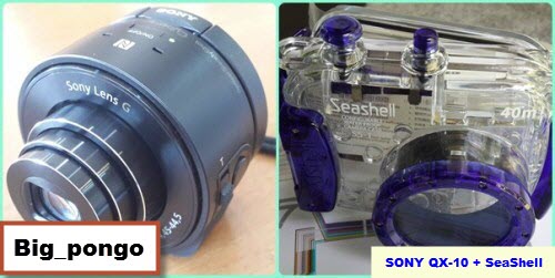 [ประยุกต์] มาดำดิ่งสู่ใต้น้ำ กับ SONY QX-10 กัน