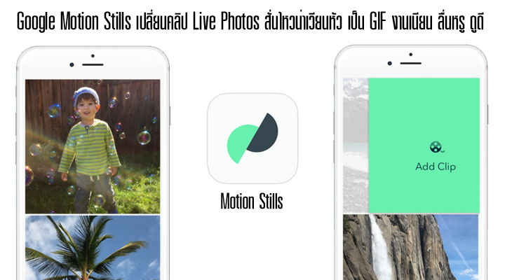 Google ส่งแอพ Motion Stills เปลี่ยน Live Photos สั่นๆ น่าเวียนหัว เป็น GIF งานเนียน ลื่น สวยงาม