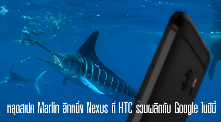 หลุดสเปค Marlin อีกหนึ่ง Nexus ที่ HTC ร่วมผลิตกับ Google ในปีนี้ คาดเป็นคู่แฝดกับ Sailfish แต่หน้าจอใหญ่ขึ้น