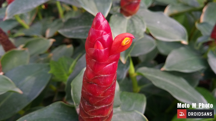 มือถือระเบิดอีกแล้วครับท่าน คราวนี้เป็น HTC One X ที่ไฟลุก ไม่น้อยหน้า Samsung กับ Apple แล้ว