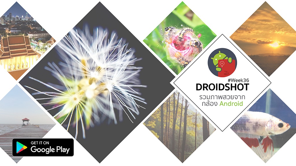 รวมภาพสวยจากกล้อง Android ผ่านแอป DroidShot ประจำสัปดาห์ที่ 36