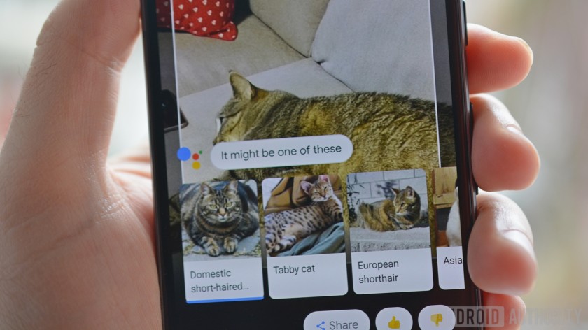 Google Lens เริ่มเปิดให้ใช้งานได้ในมือถือ Android รุ่นอื่นๆ นอกจากซีรีส์ Pixel แล้ว