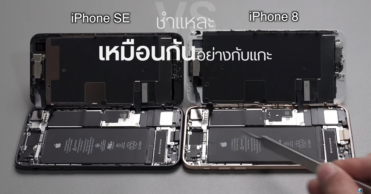 ชำแหละ iPhone SE (2020) เทียบ iPhone 8 พบชิ้นส่วนต่างๆ ภายในตัวเครื่องเหมือนกันแทบทุกอย่าง