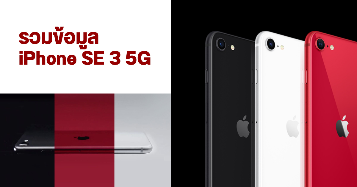 รวมข้อมูล iPhone SE 3 5G สเปคเป็นยังไง ราคาเท่าไหร่ วางขายวันไหน