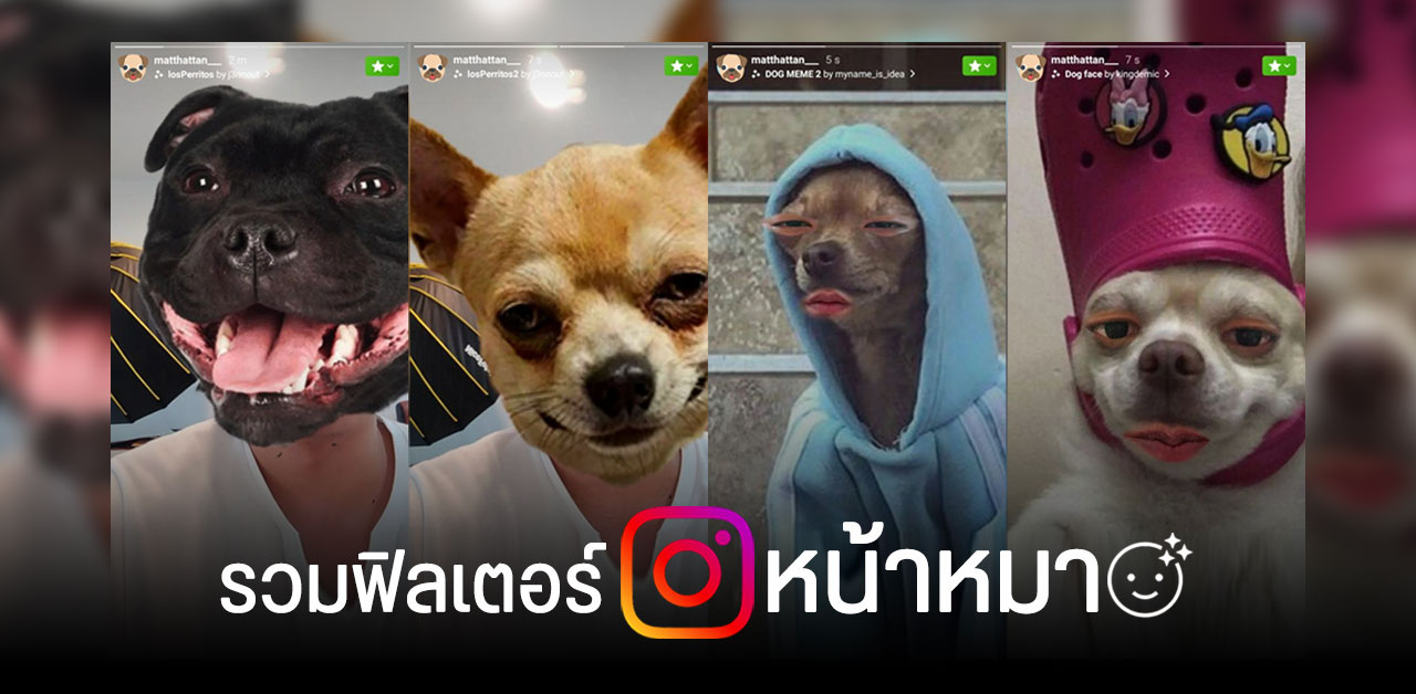 รวมฟิลเตอร์​ IG เปลี่ยนหน้าเป็นน้องหมา​ มีให้เลือกหลายแบบ