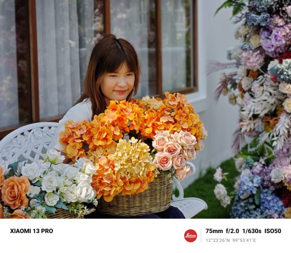 Xiaomi 13 Pro Telephoto