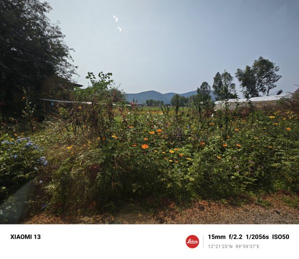 Xiaomi 13 Ultrawide
