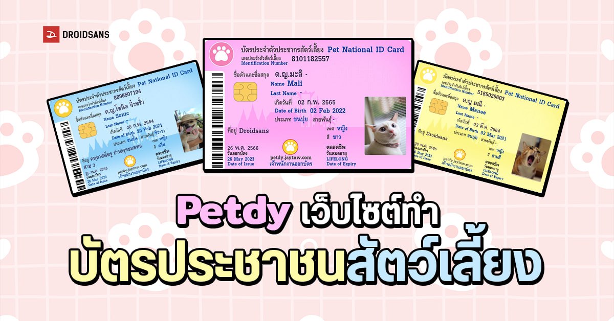 Petdy เว็บไซต์ทำบัตรประชาชนหมาแมว ทำง่าย ใช้งานฟรี โหลดไฟล์เป็น Qr Code ได้ด้วย