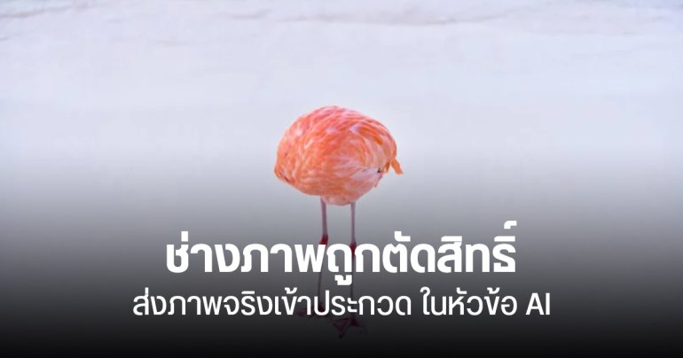 ช่างภาพถูกริบรางวัล หลังใช้ภาพถ่ายจริงประกวดในหัวข้อภาพจาก AI แล้วดันชนะ