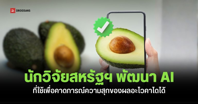 นักวิจัยสหรัฐฯ กำลังพัฒนา AI ที่สามารถใช้เพื่อคาดการณ์คุณภาพของผลอะโวคาโดได้ 
