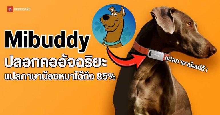 Mibuddy ปลอกคออัจฉริยะ แปลภาษาน้องหมาได้ถึง 85% ราคาราว 4,700 บาทเท่านั้น