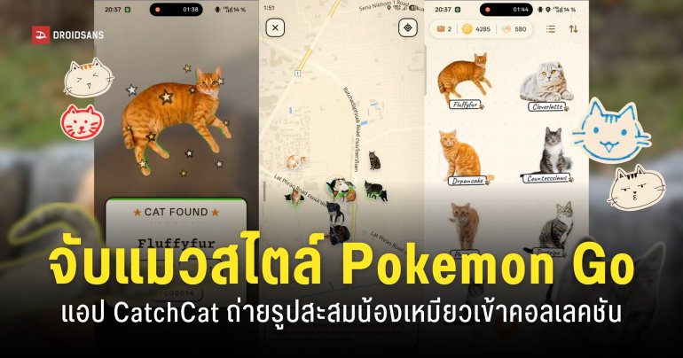 แอป “CatchCat” สัมผัสโลกกว้างไปจับเหมียวในโลกจริง มาสะสมแข่งกับเพื่อน
