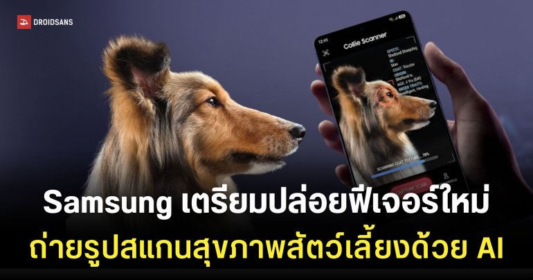 Samsung เปิดตัวฟีเจอร์ AI ใหม่ ถ่ายรูปน้องหมาน้องแมวปุ๊บ รู้ปัญหาสุขภาพปั๊บ